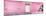 ¡Viva Mexico! Panoramic Collection - "5 de febrero" Light Pink Wall-Philippe Hugonnard-Mounted Photographic Print