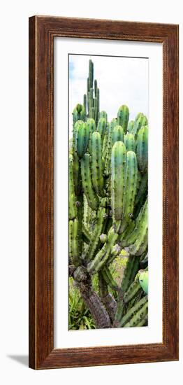 ¡Viva Mexico! Panoramic Collection - Cactus II-Philippe Hugonnard-Framed Photographic Print