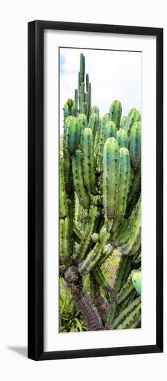 ¡Viva Mexico! Panoramic Collection - Cactus II-Philippe Hugonnard-Framed Photographic Print