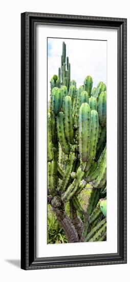 ¡Viva Mexico! Panoramic Collection - Cactus II-Philippe Hugonnard-Framed Photographic Print