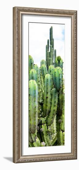 ¡Viva Mexico! Panoramic Collection - Cactus III-Philippe Hugonnard-Framed Photographic Print