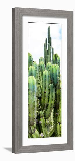 ¡Viva Mexico! Panoramic Collection - Cactus III-Philippe Hugonnard-Framed Photographic Print