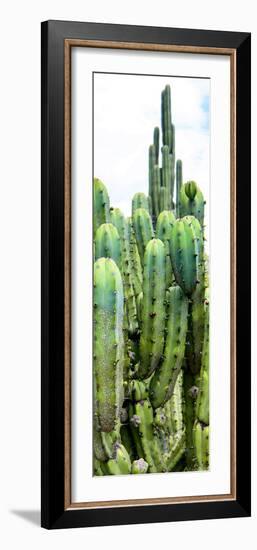 ¡Viva Mexico! Panoramic Collection - Cactus III-Philippe Hugonnard-Framed Photographic Print