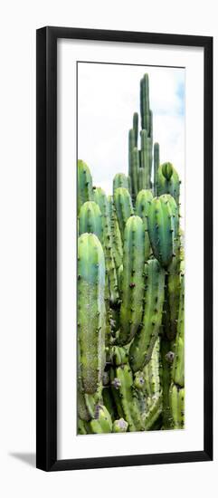 ¡Viva Mexico! Panoramic Collection - Cactus III-Philippe Hugonnard-Framed Photographic Print
