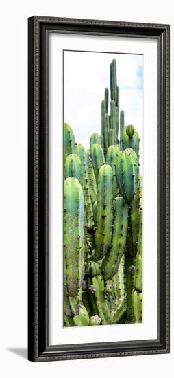 ¡Viva Mexico! Panoramic Collection - Cactus III-Philippe Hugonnard-Framed Photographic Print