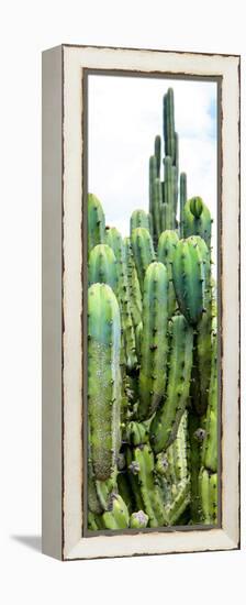 ¡Viva Mexico! Panoramic Collection - Cactus III-Philippe Hugonnard-Framed Premier Image Canvas