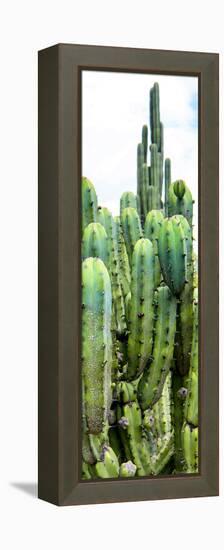 ¡Viva Mexico! Panoramic Collection - Cactus III-Philippe Hugonnard-Framed Premier Image Canvas