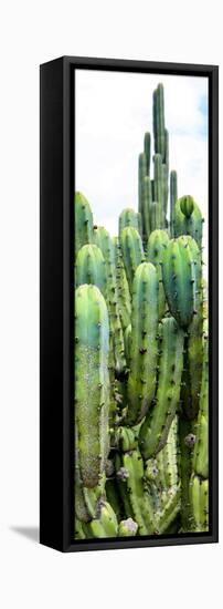 ¡Viva Mexico! Panoramic Collection - Cactus III-Philippe Hugonnard-Framed Premier Image Canvas