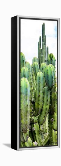 ¡Viva Mexico! Panoramic Collection - Cactus III-Philippe Hugonnard-Framed Premier Image Canvas