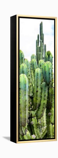 ¡Viva Mexico! Panoramic Collection - Cactus III-Philippe Hugonnard-Framed Premier Image Canvas