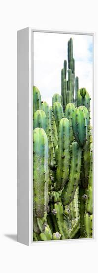 ¡Viva Mexico! Panoramic Collection - Cactus III-Philippe Hugonnard-Framed Premier Image Canvas