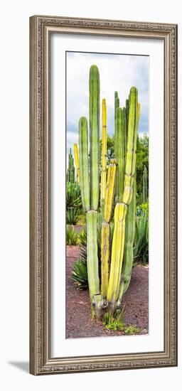 ¡Viva Mexico! Panoramic Collection - Cactus VI-Philippe Hugonnard-Framed Photographic Print