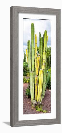 ¡Viva Mexico! Panoramic Collection - Cactus VI-Philippe Hugonnard-Framed Photographic Print