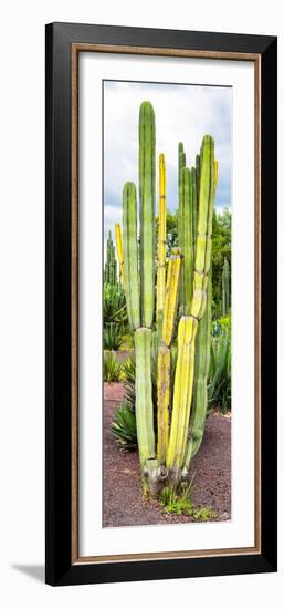 ¡Viva Mexico! Panoramic Collection - Cactus VI-Philippe Hugonnard-Framed Photographic Print