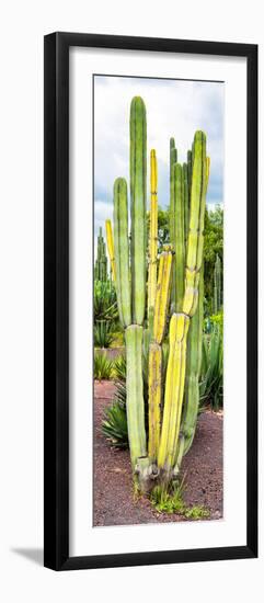 ¡Viva Mexico! Panoramic Collection - Cactus VI-Philippe Hugonnard-Framed Photographic Print