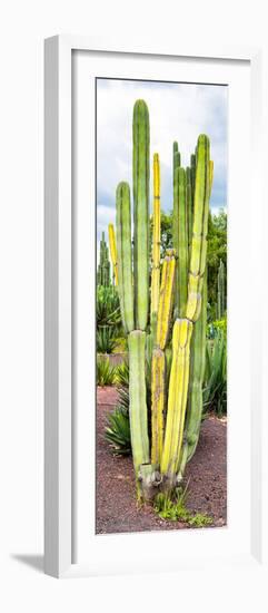 ¡Viva Mexico! Panoramic Collection - Cactus VI-Philippe Hugonnard-Framed Photographic Print