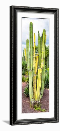 ¡Viva Mexico! Panoramic Collection - Cactus VI-Philippe Hugonnard-Framed Photographic Print