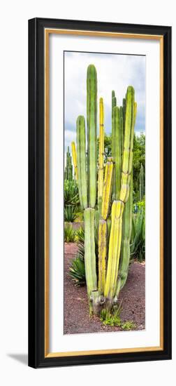 ¡Viva Mexico! Panoramic Collection - Cactus VI-Philippe Hugonnard-Framed Photographic Print