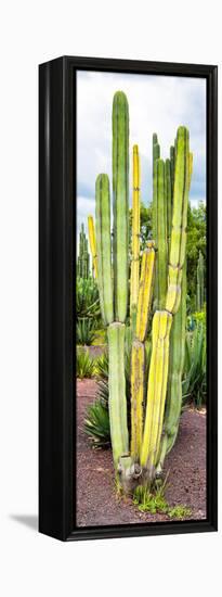 ¡Viva Mexico! Panoramic Collection - Cactus VI-Philippe Hugonnard-Framed Premier Image Canvas