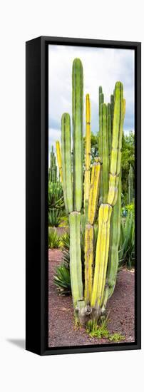 ¡Viva Mexico! Panoramic Collection - Cactus VI-Philippe Hugonnard-Framed Premier Image Canvas