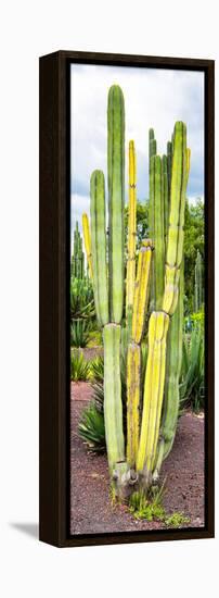 ¡Viva Mexico! Panoramic Collection - Cactus VI-Philippe Hugonnard-Framed Premier Image Canvas