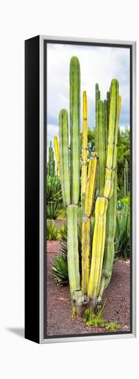 ¡Viva Mexico! Panoramic Collection - Cactus VI-Philippe Hugonnard-Framed Premier Image Canvas