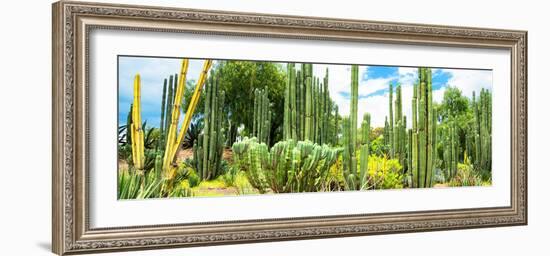 ¡Viva Mexico! Panoramic Collection - Cardon Cactus III-Philippe Hugonnard-Framed Photographic Print