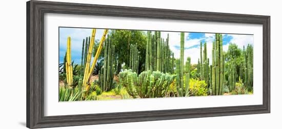 ¡Viva Mexico! Panoramic Collection - Cardon Cactus III-Philippe Hugonnard-Framed Photographic Print