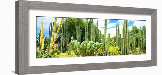 ¡Viva Mexico! Panoramic Collection - Cardon Cactus III-Philippe Hugonnard-Framed Photographic Print