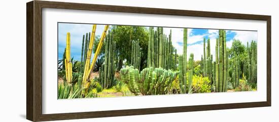 ¡Viva Mexico! Panoramic Collection - Cardon Cactus III-Philippe Hugonnard-Framed Photographic Print