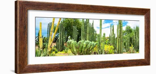 ¡Viva Mexico! Panoramic Collection - Cardon Cactus III-Philippe Hugonnard-Framed Photographic Print