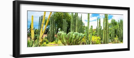 ¡Viva Mexico! Panoramic Collection - Cardon Cactus III-Philippe Hugonnard-Framed Photographic Print