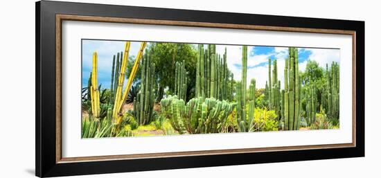 ¡Viva Mexico! Panoramic Collection - Cardon Cactus III-Philippe Hugonnard-Framed Photographic Print