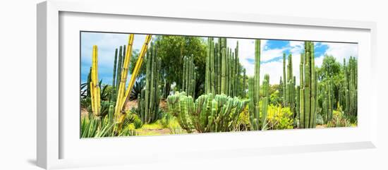 ¡Viva Mexico! Panoramic Collection - Cardon Cactus III-Philippe Hugonnard-Framed Photographic Print