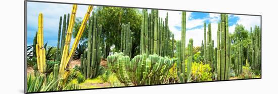 ¡Viva Mexico! Panoramic Collection - Cardon Cactus III-Philippe Hugonnard-Mounted Photographic Print