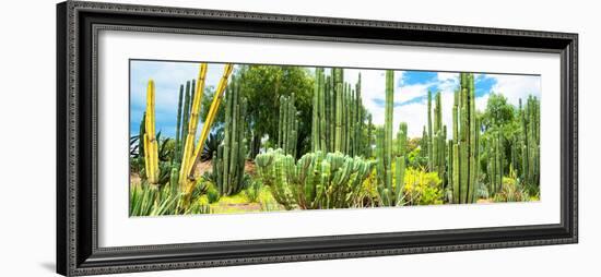 ¡Viva Mexico! Panoramic Collection - Cardon Cactus III-Philippe Hugonnard-Framed Photographic Print