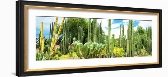 ¡Viva Mexico! Panoramic Collection - Cardon Cactus III-Philippe Hugonnard-Framed Photographic Print