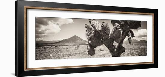 ¡Viva Mexico! Panoramic Collection - Desert Cactus I-Philippe Hugonnard-Framed Photographic Print