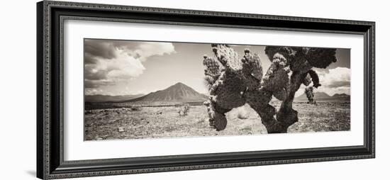 ¡Viva Mexico! Panoramic Collection - Desert Cactus I-Philippe Hugonnard-Framed Photographic Print