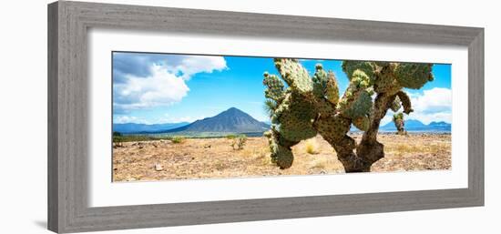 ¡Viva Mexico! Panoramic Collection - Desert Cactus II-Philippe Hugonnard-Framed Photographic Print