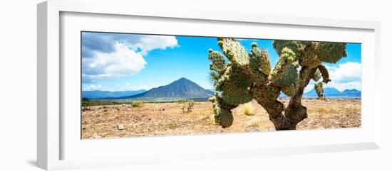 ¡Viva Mexico! Panoramic Collection - Desert Cactus II-Philippe Hugonnard-Framed Photographic Print