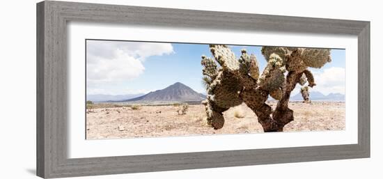 ¡Viva Mexico! Panoramic Collection - Desert Cactus III-Philippe Hugonnard-Framed Photographic Print