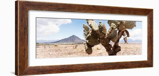 ¡Viva Mexico! Panoramic Collection - Desert Cactus III-Philippe Hugonnard-Framed Photographic Print