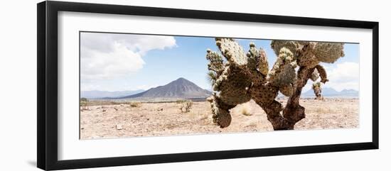 ¡Viva Mexico! Panoramic Collection - Desert Cactus III-Philippe Hugonnard-Framed Photographic Print