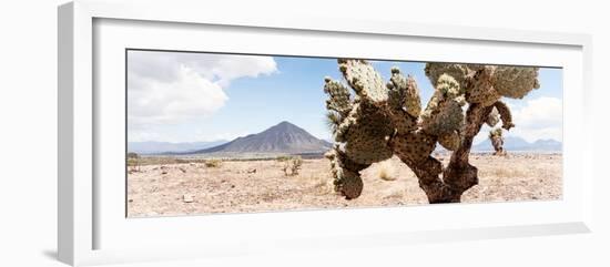 ¡Viva Mexico! Panoramic Collection - Desert Cactus III-Philippe Hugonnard-Framed Photographic Print