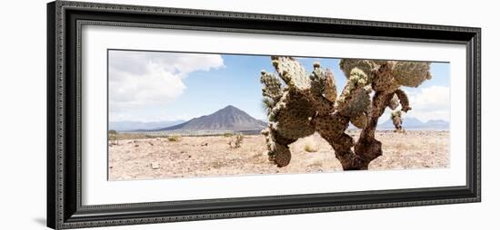 ¡Viva Mexico! Panoramic Collection - Desert Cactus III-Philippe Hugonnard-Framed Photographic Print