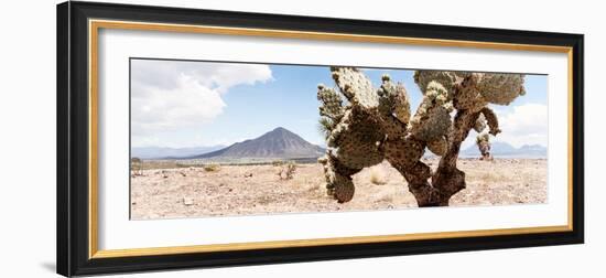 ¡Viva Mexico! Panoramic Collection - Desert Cactus III-Philippe Hugonnard-Framed Photographic Print