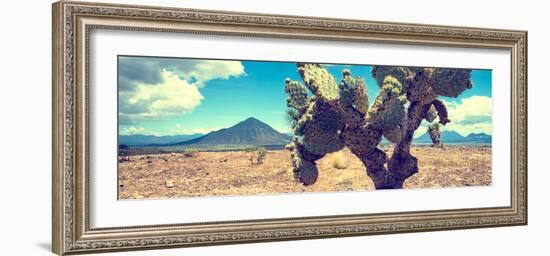 ¡Viva Mexico! Panoramic Collection - Desert Cactus IV-Philippe Hugonnard-Framed Photographic Print