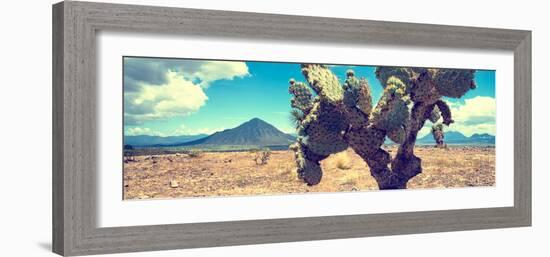¡Viva Mexico! Panoramic Collection - Desert Cactus IV-Philippe Hugonnard-Framed Photographic Print