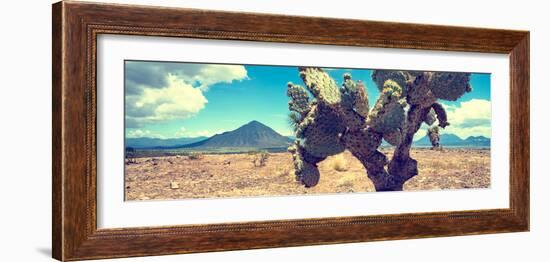 ¡Viva Mexico! Panoramic Collection - Desert Cactus IV-Philippe Hugonnard-Framed Photographic Print